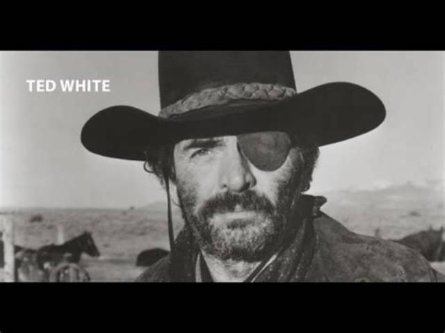 Ted White (Stuntman) Biography, Age, Height, Wife, Net Worth and Family